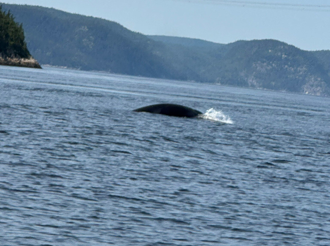 Tadoussac Autrement-泰道沙克必去景点