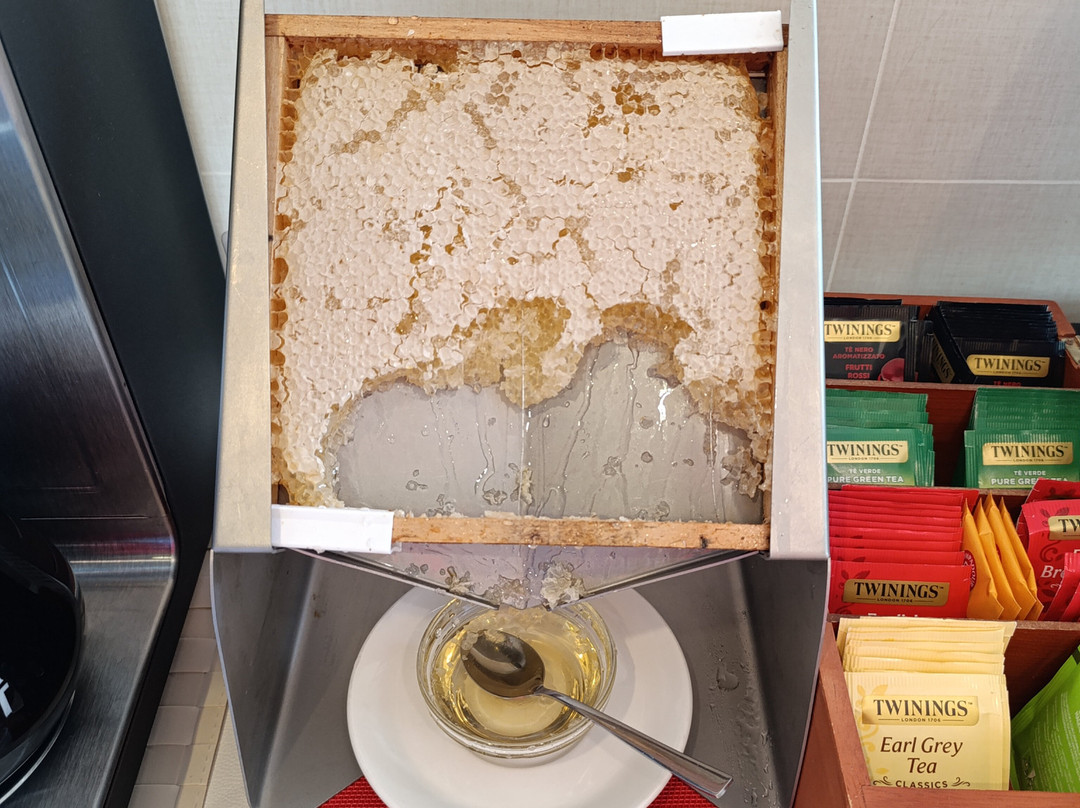 Kairos Garda Hotel主图