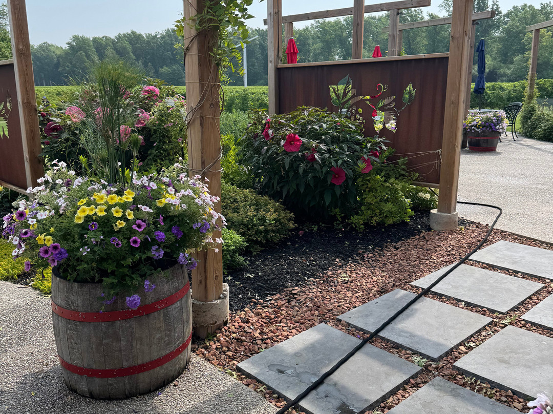 The Hare Wine Co.-滨湖尼亚加拉必去景点