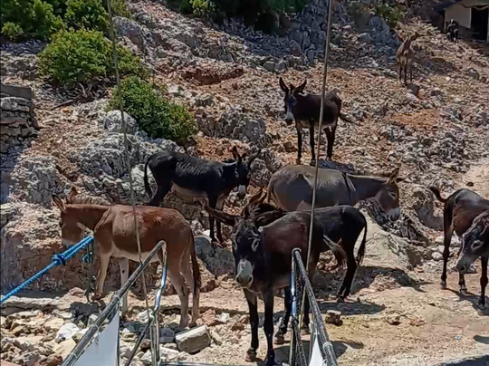 Volkan's Adventures-达利安必去景点