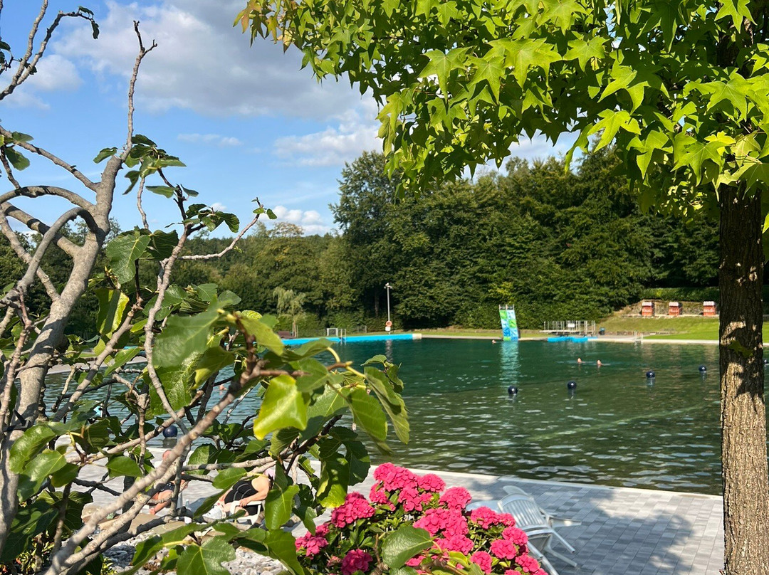 Waldfreibad Herpine-Halver必去景点
