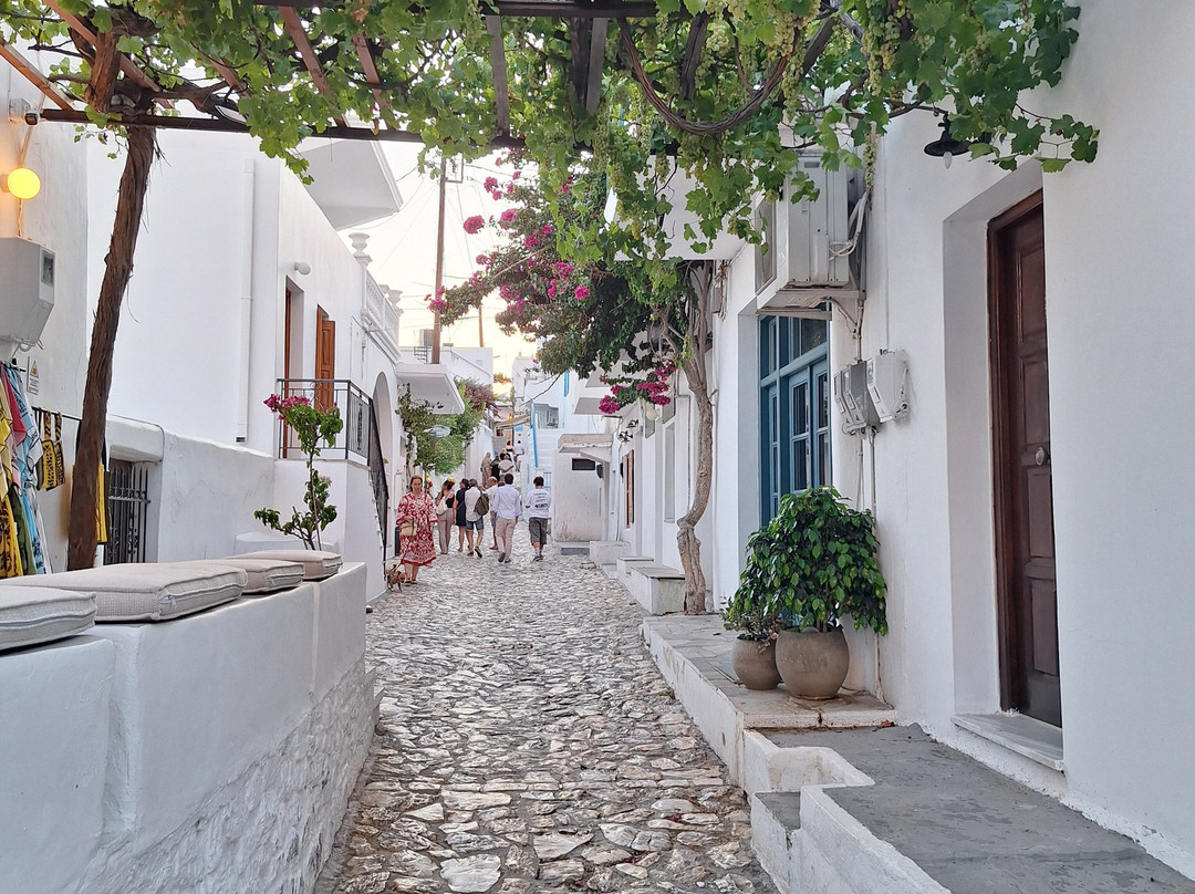 The Skyros Centre-Skyros必去景点