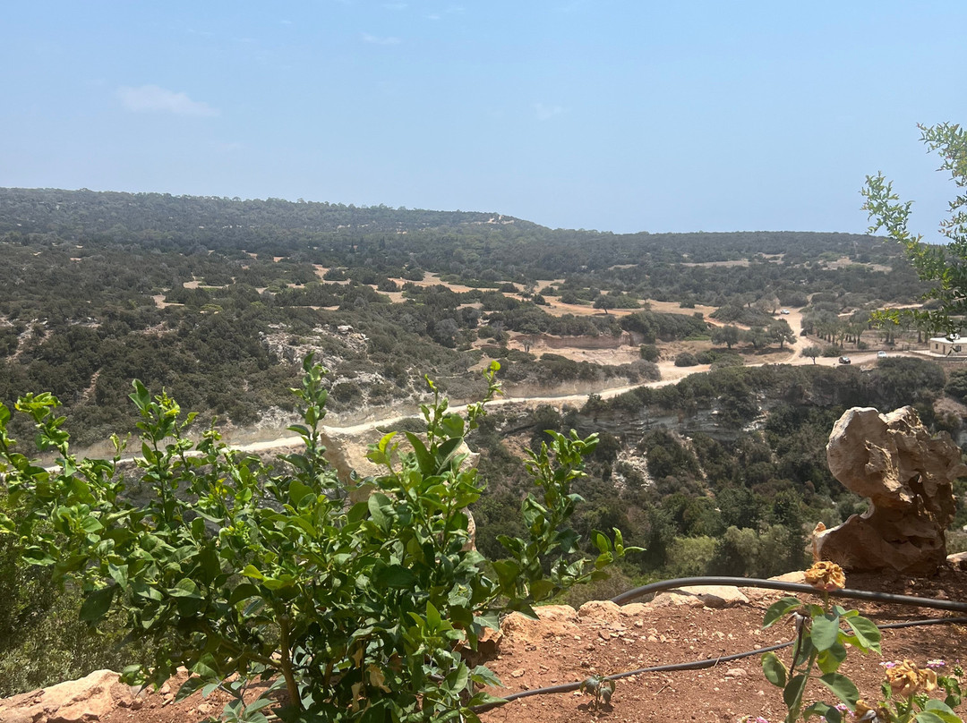 George's Taxi & Minibus