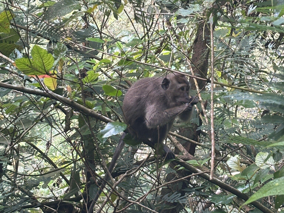 East Java Paradise Travel-巴纽旺宣必去景点