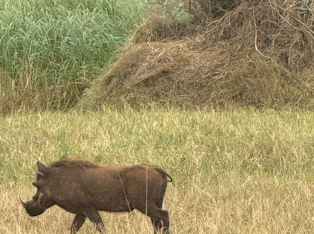Explore RwandaTours-吉佳利必去景点