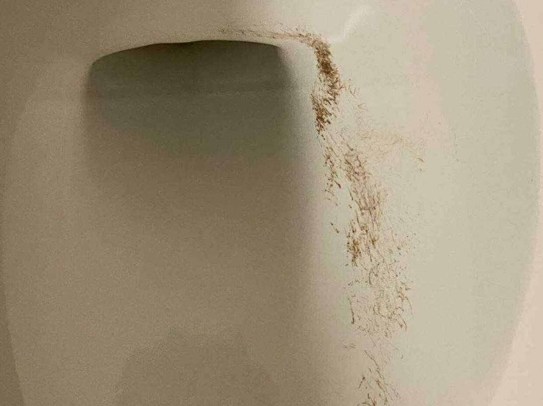 Stay Inn & Suites Montgomery主图