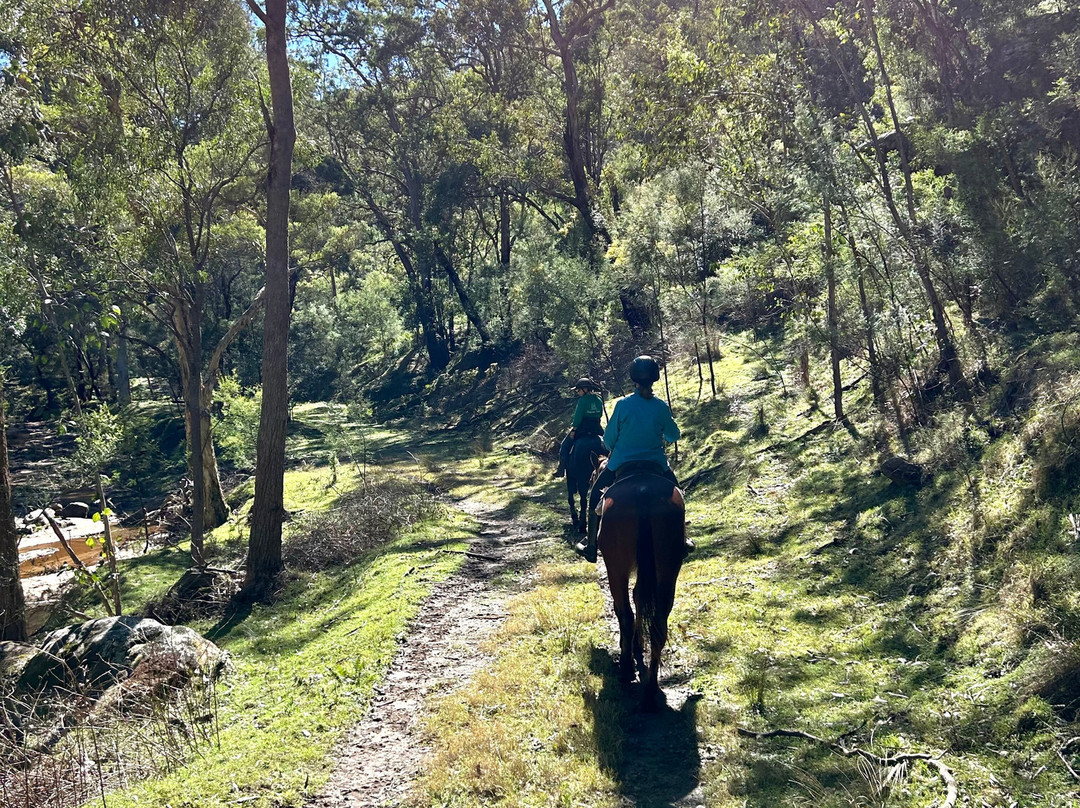 Chapman Valley Horse Riding-Howes Valley必去景点