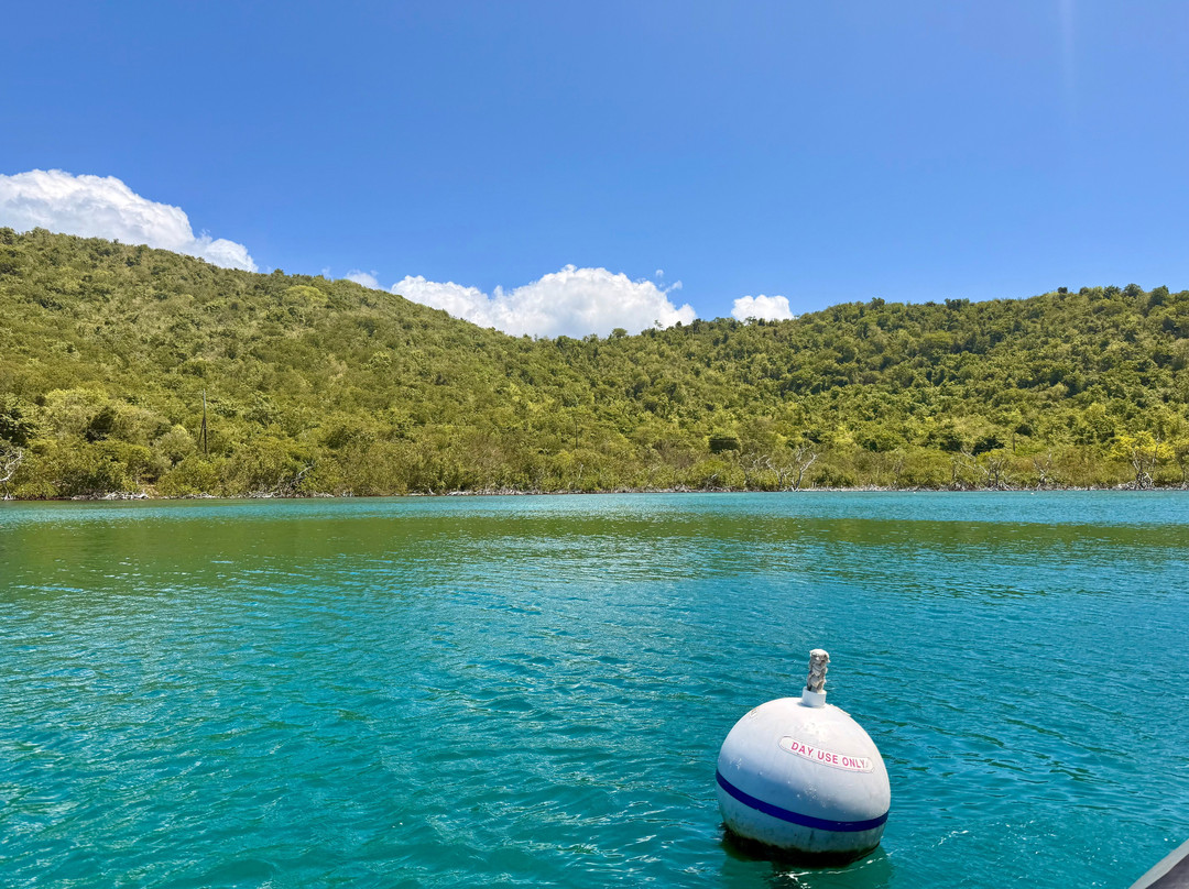 Dockside Dinghy-Coral Bay必去景点