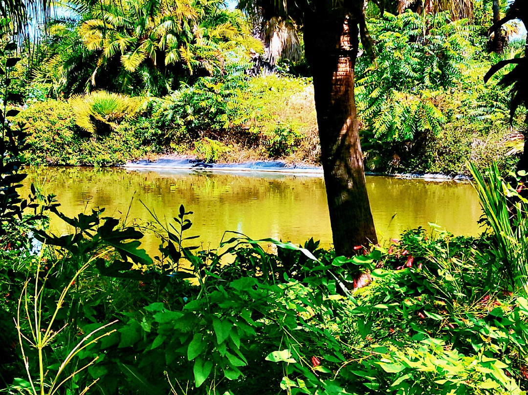 Seven Maze Charming House主图