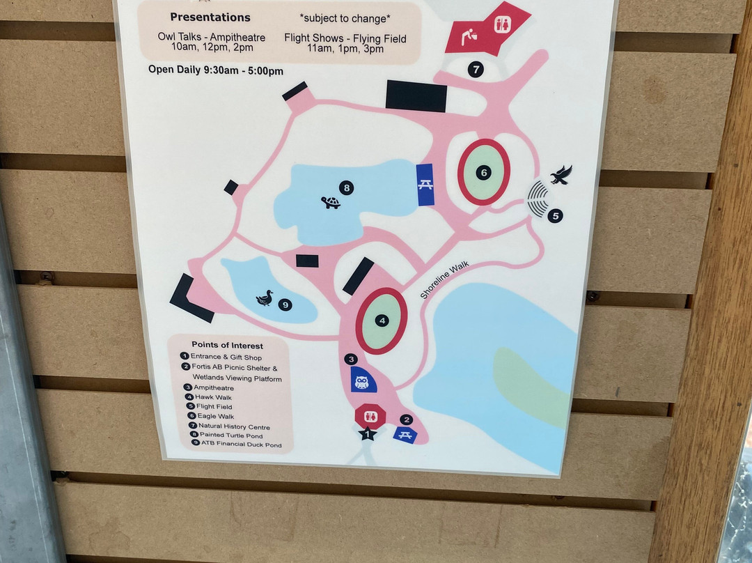 Alberta Birds of Prey Visitor's Centre-Coaldale必去景点