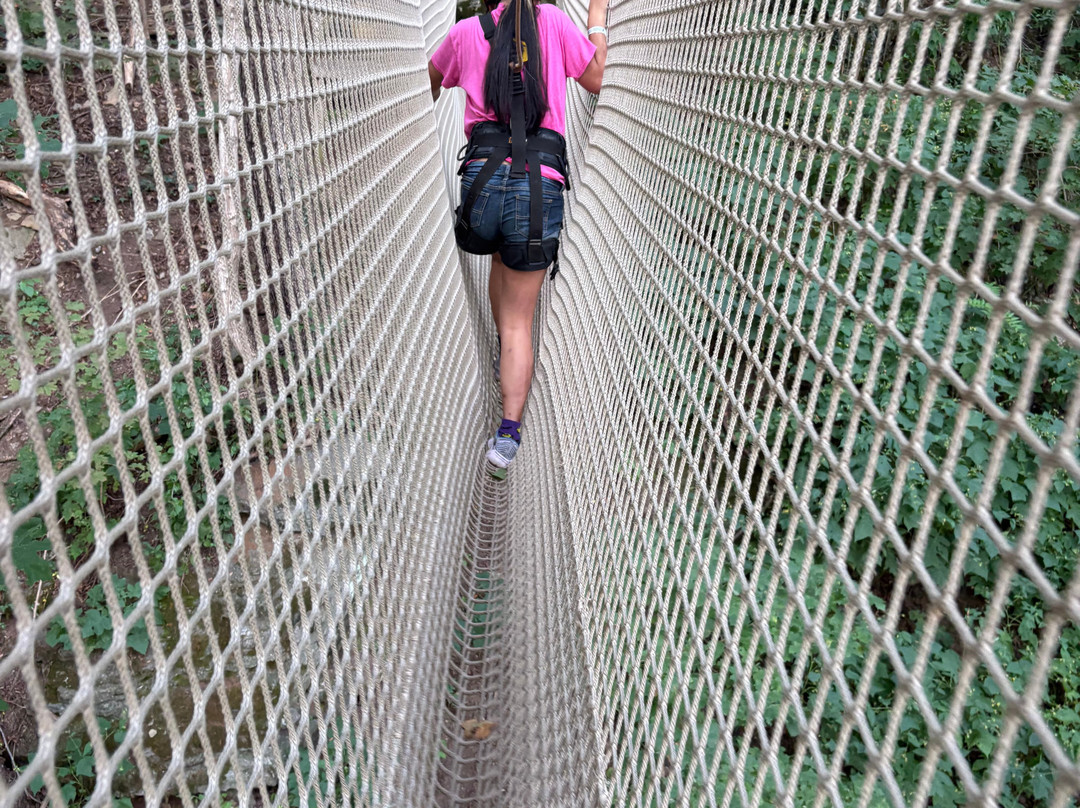 River Riders-哈泊斯费里必去景点