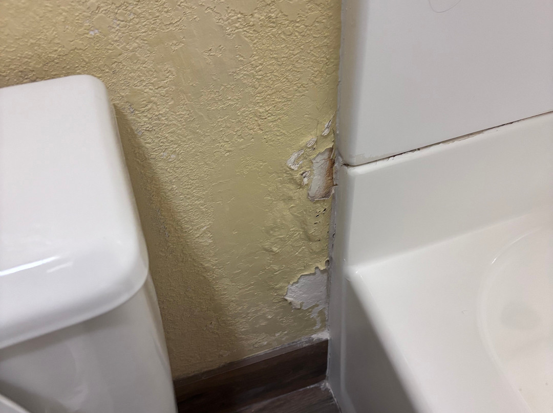 Days Inn by Wyndham Holbrook主图