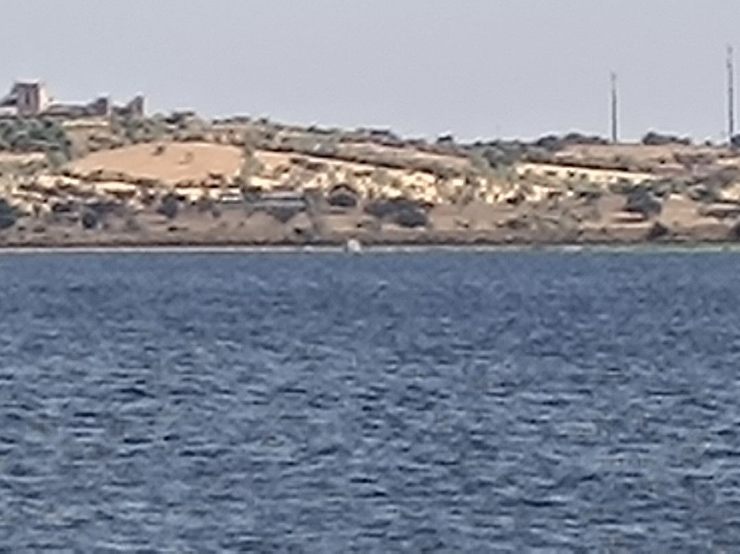 Alqueva Cruzeiros-Reguengos de Monsaraz必去景点