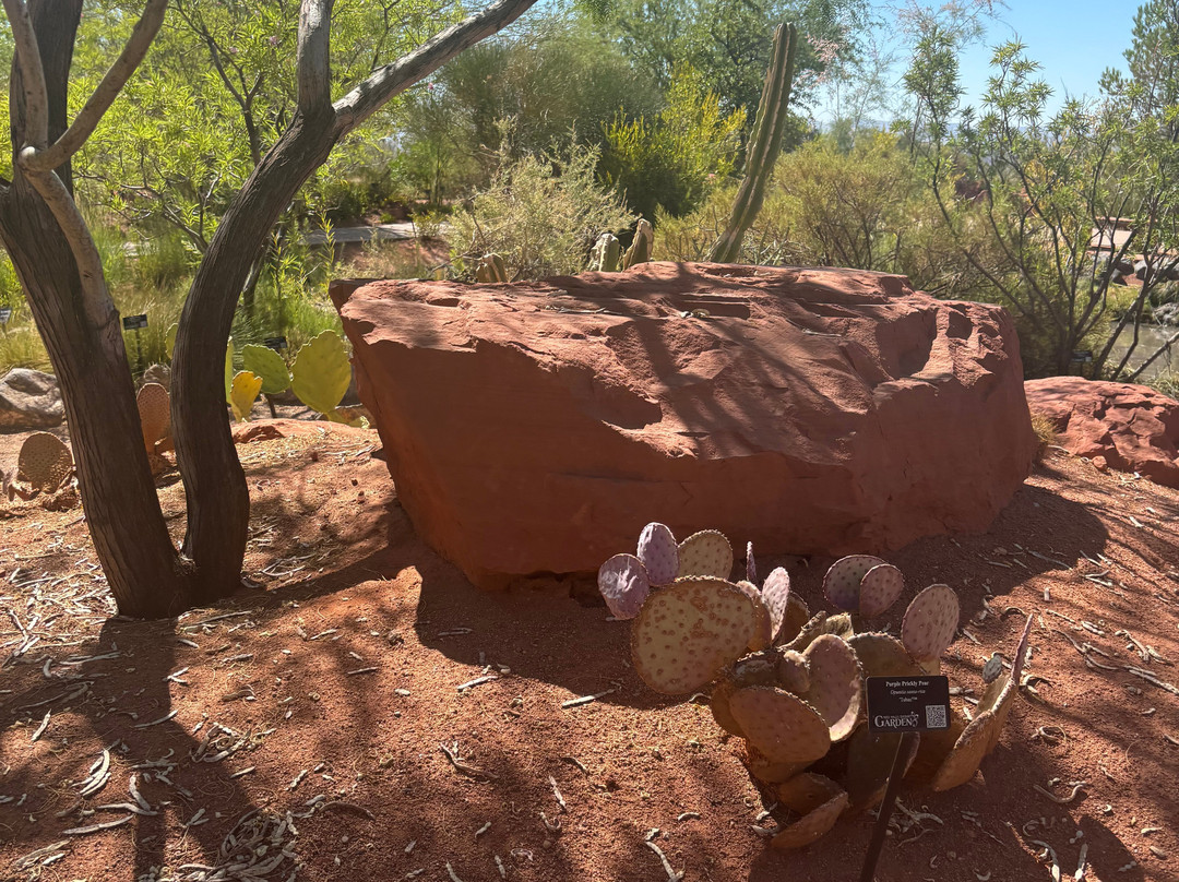 先锋公园-圣乔治必去景点