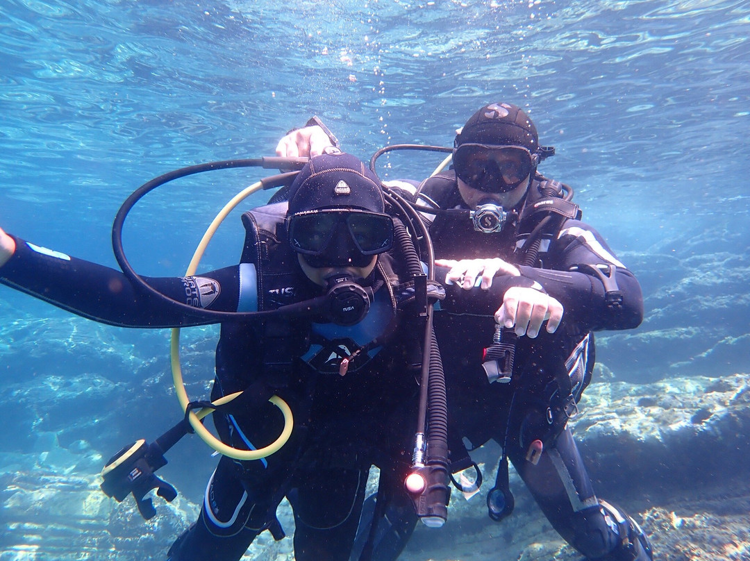 Gorgona Divers-Skála Potamiás必去景点