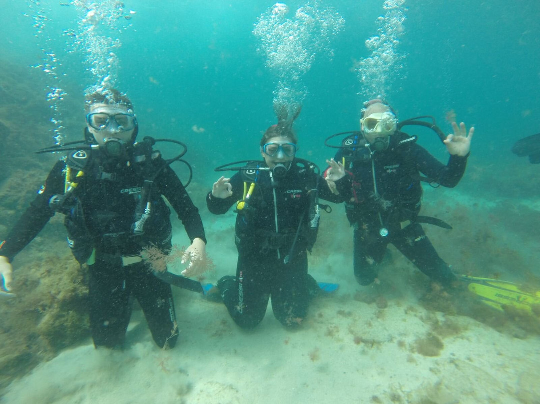 Dive Inn-Villaverde必去景点