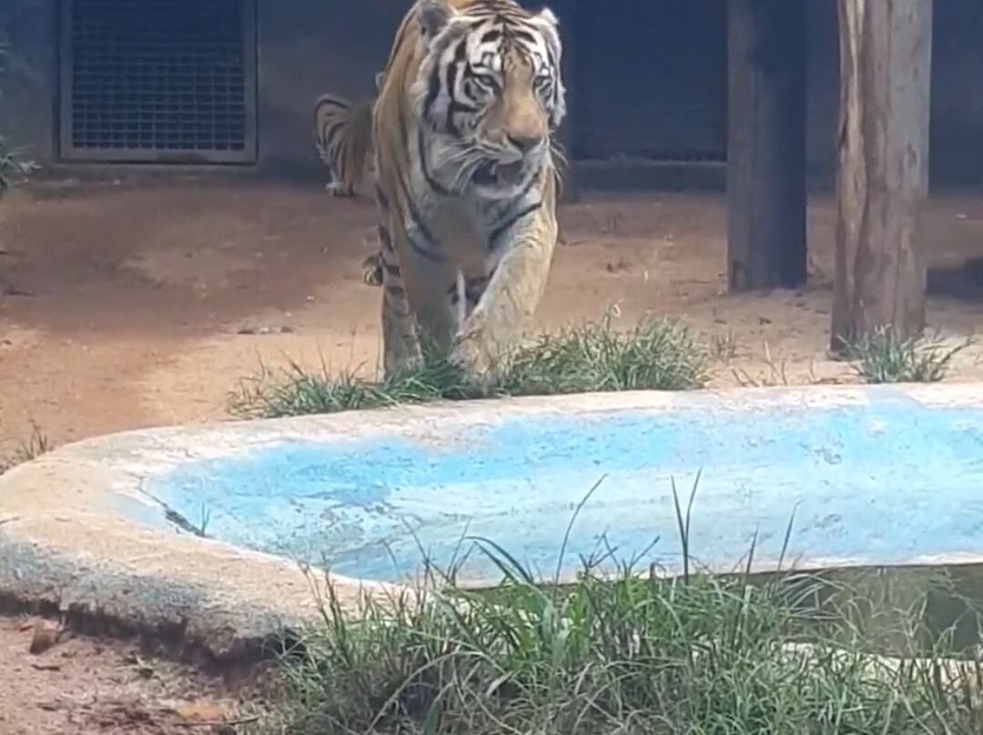 Zoo Park da Montanha-Marechal Floriano必去景点