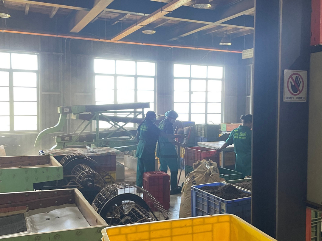 Oak Ray Tea Factory & Museum-拉马伯达必去景点