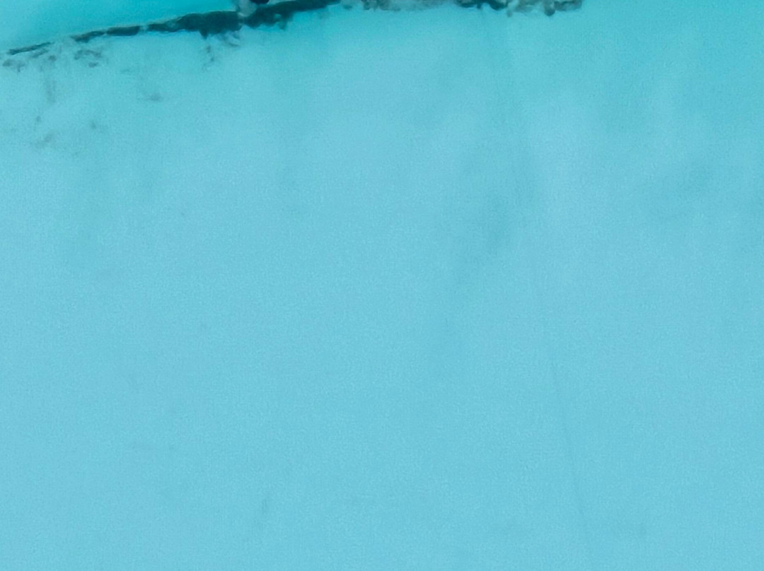 Domizia Palace Hotel主图