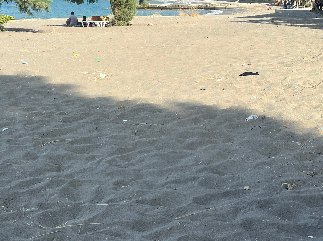 Pachia Ammos Beach-Pachia Ammos必去景点