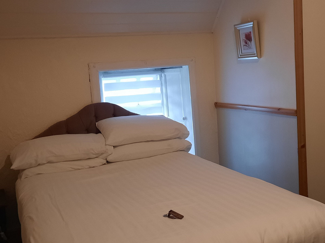 O'Connors Guesthouse主图
