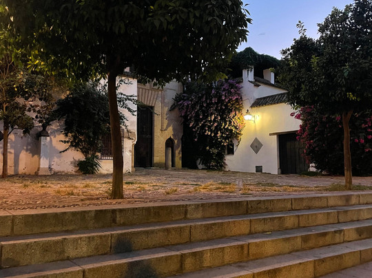 Woow Cordoba-科尔多瓦必去景点