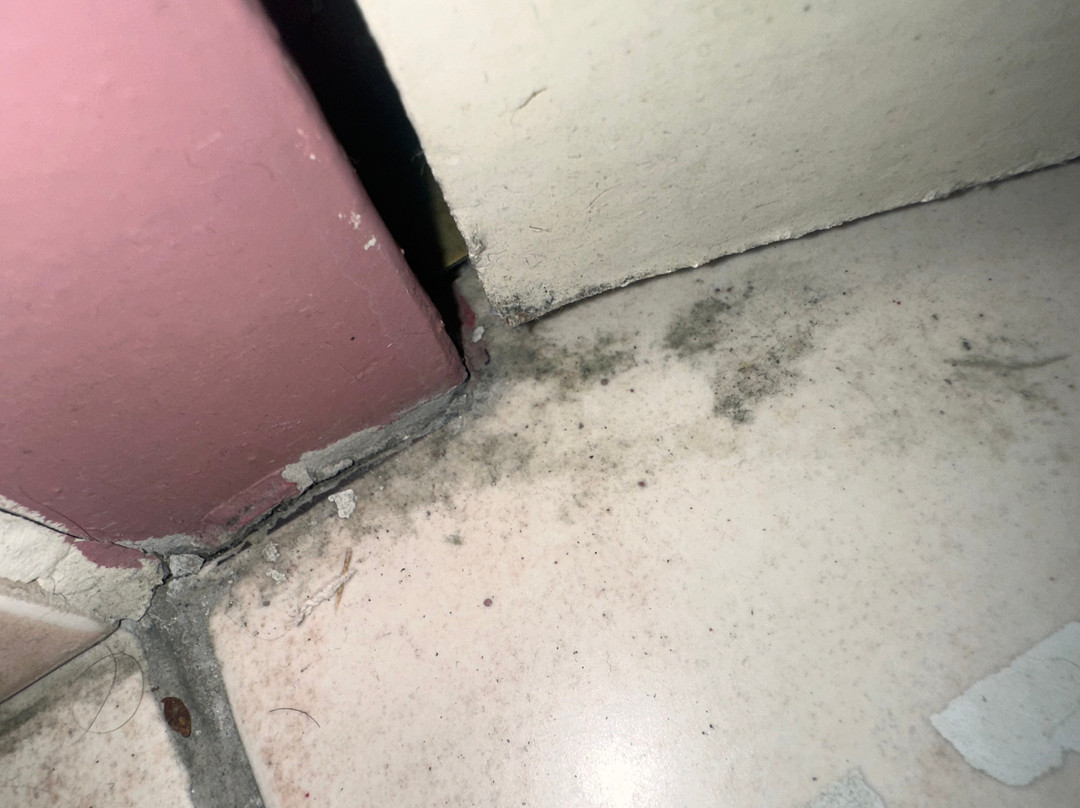 蒙泰古酒店主图