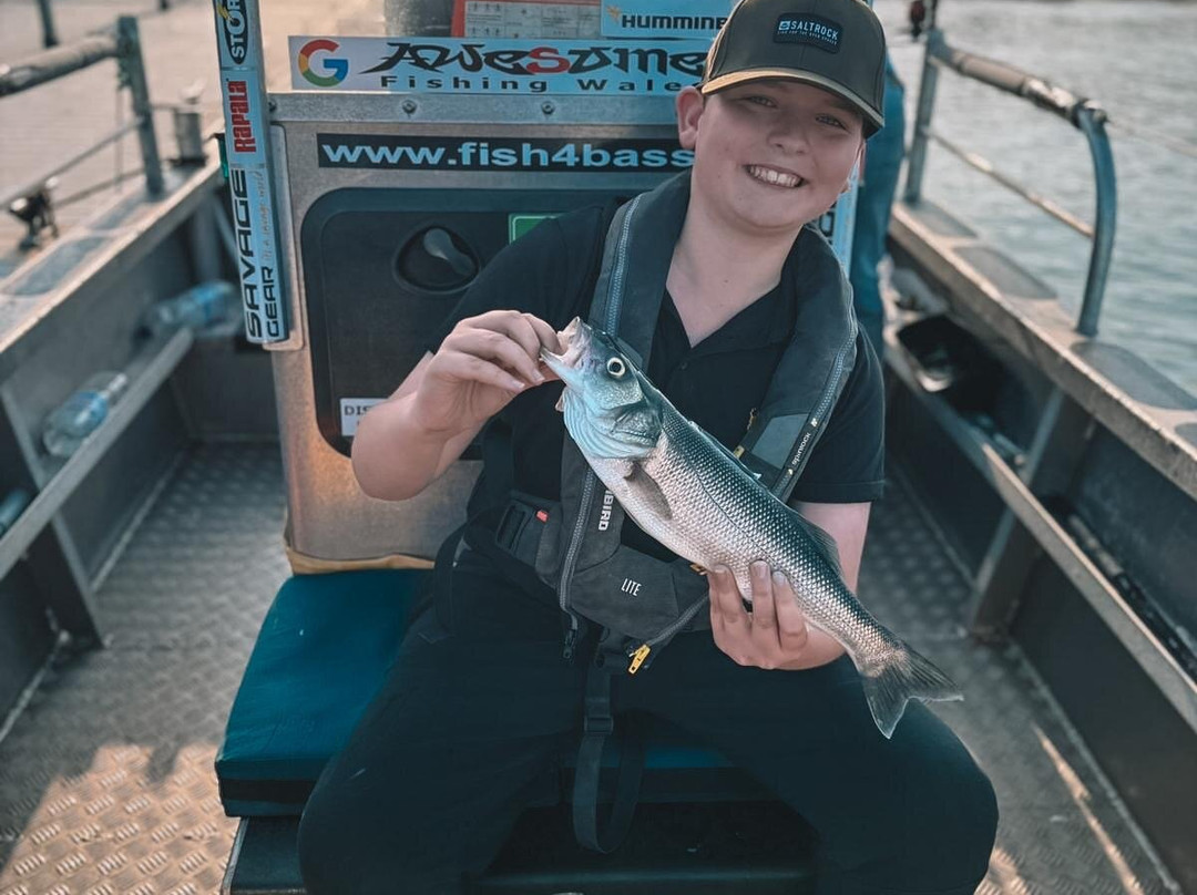 Awesome Fishing-Dale必去景点