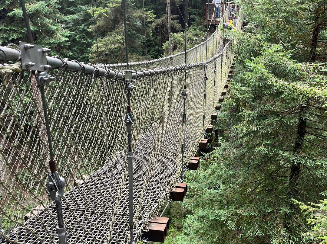 Sequoia Park-尤里卡必去景点