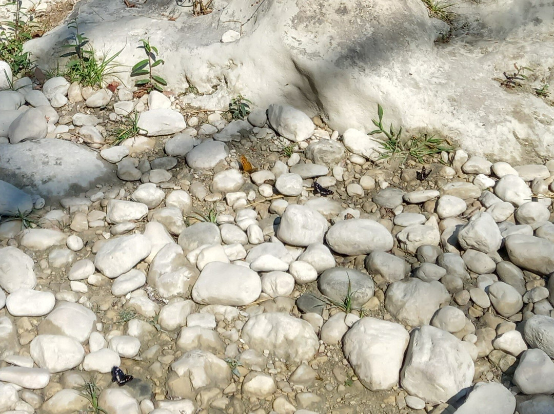 Acheron Springs-Glyki必去景点