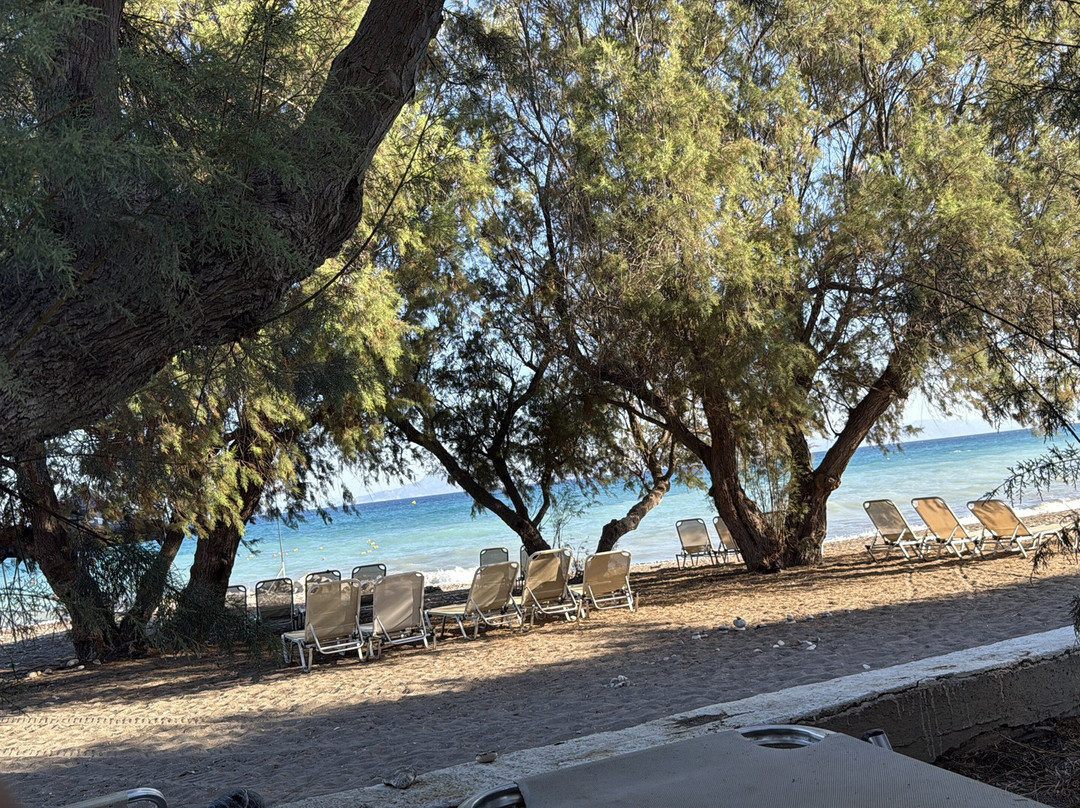 Alex Beach Hotel主图