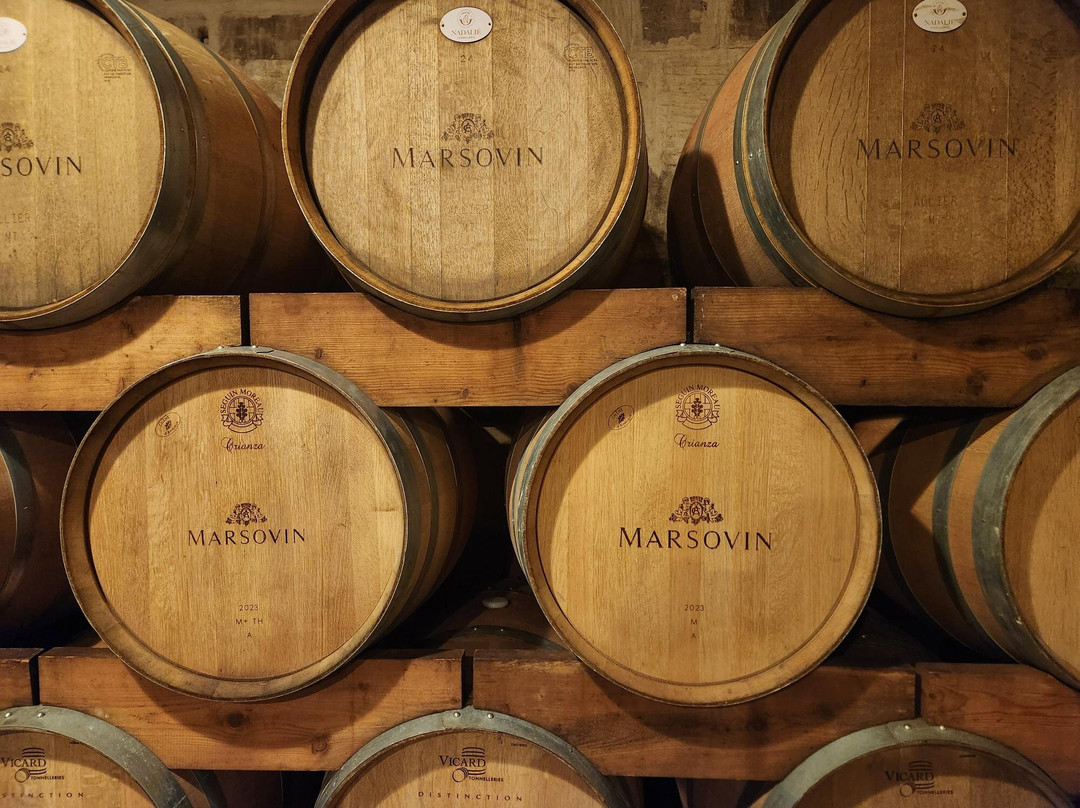 Marsovin-Marsa必去景点