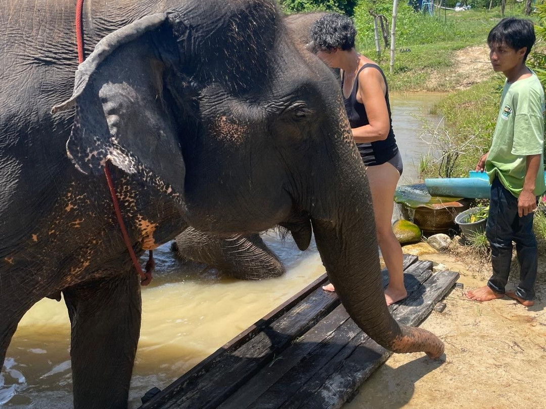 Thai Town of Elephant  Krabi-Nong Thale必去景点