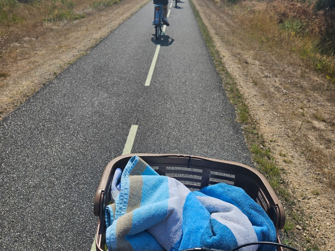 Beach Bikes - Location De Vélo À Arès-Ares必去景点