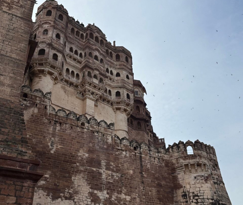 The Tiger Tours-瑟瓦伊马托布尔必去景点