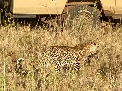 Rashad Adventure-阿鲁沙必去景点