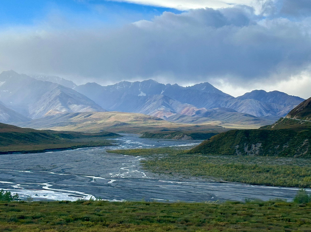 Tundra Wilderness Tour-Denali Park必去景点