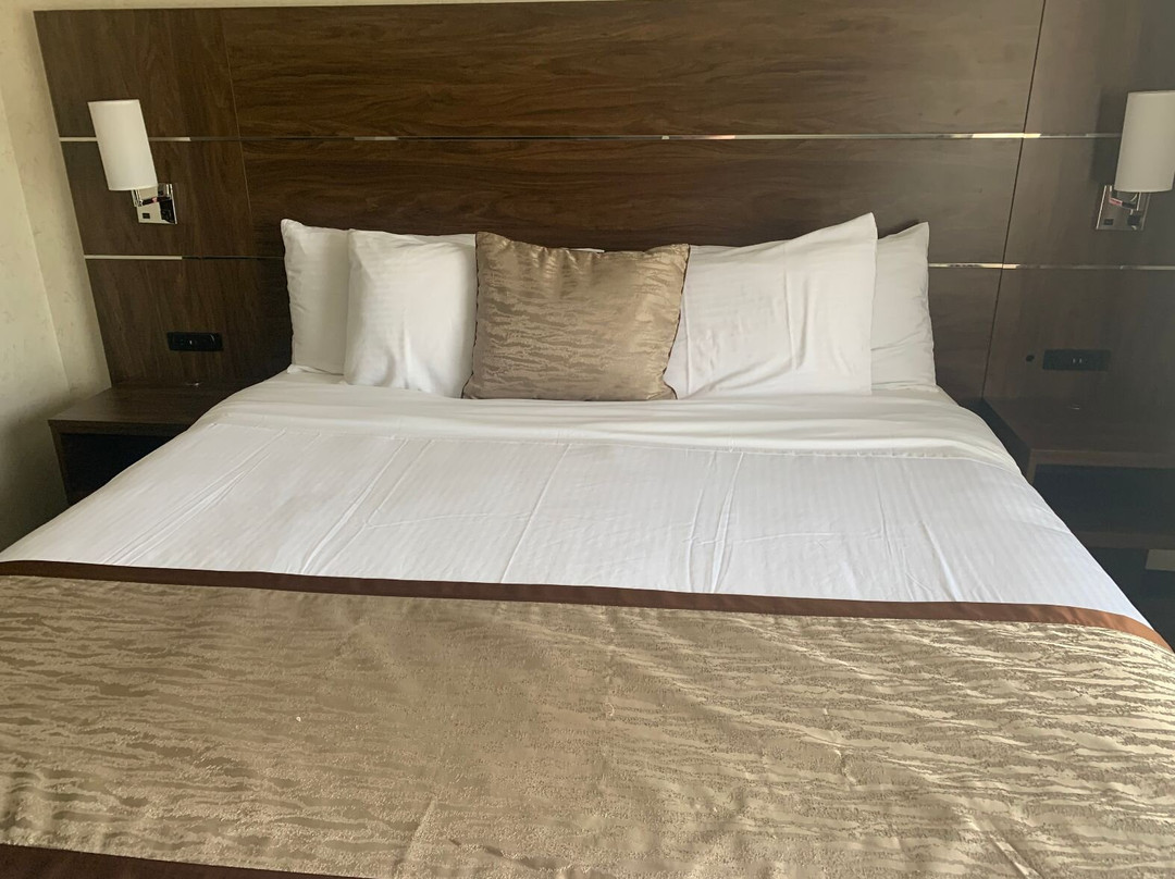 Evergreen Inn And Suites主图