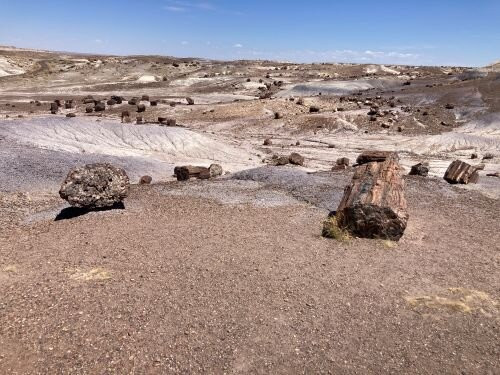 Crystal Forest Trail-石化林国家公园必去景点