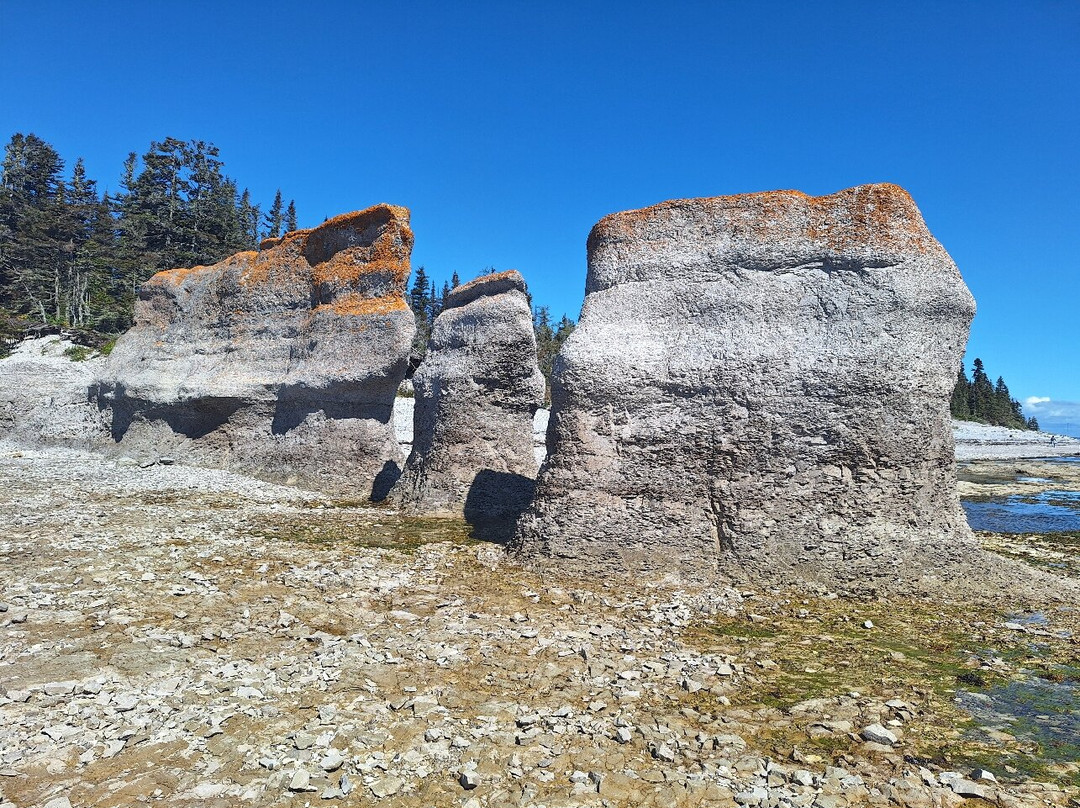 Mingan Archipelago National Park Reserve-Havre St. Pierre必去景点