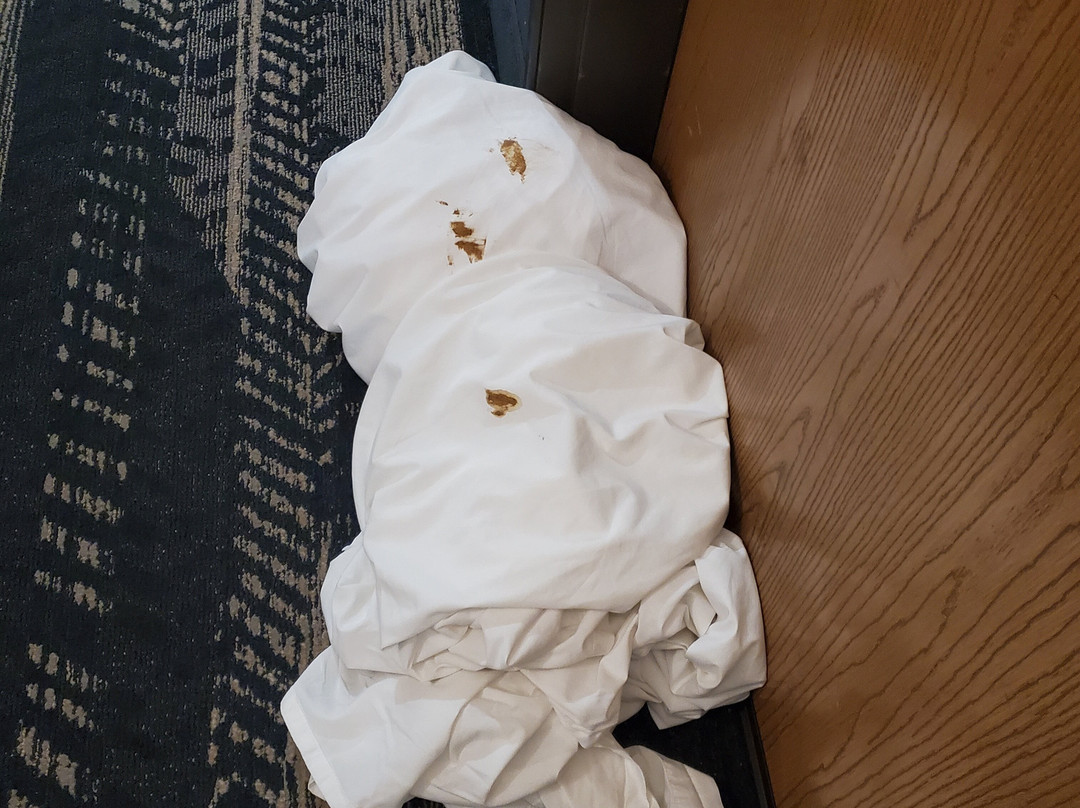 AmericInn by Wyndham Fulton Clinton主图