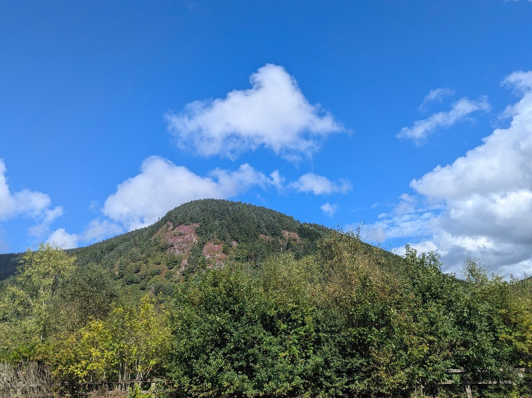 Corris Craft Centre-Corris必去景点