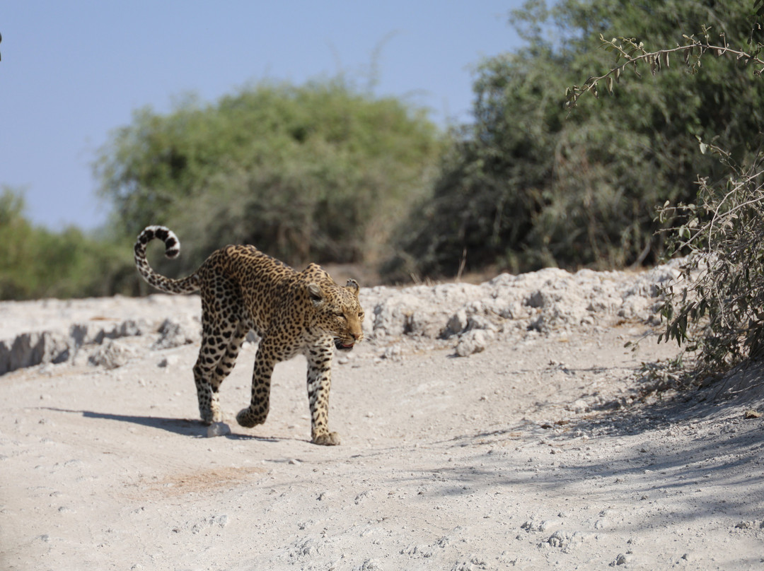 Kalahari Tours-Kazungula必去景点