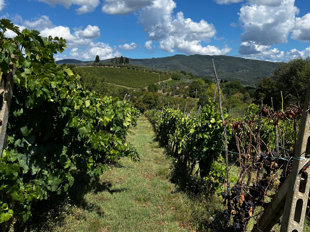 Podere Bucine Winery-格雷韦伊恩基亚恩蒂必去景点