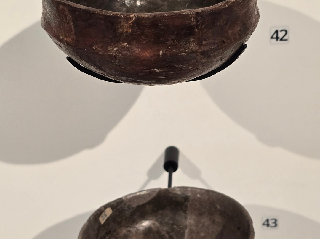 Musée Savoisien-尚贝里必去景点