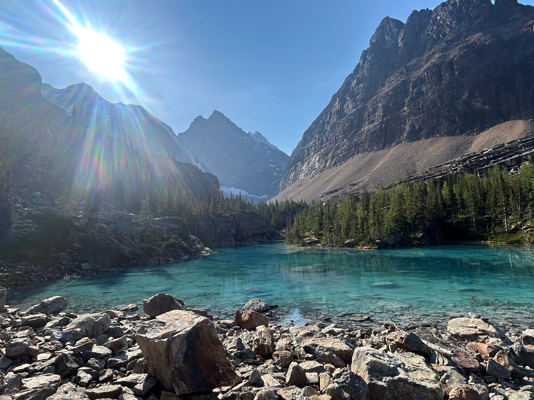 Forest Fix-班夫必去景点