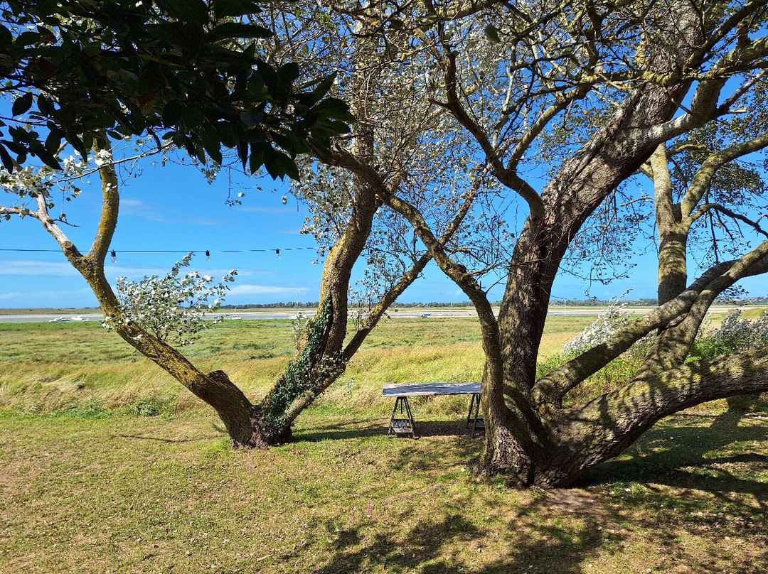 LA BAIE