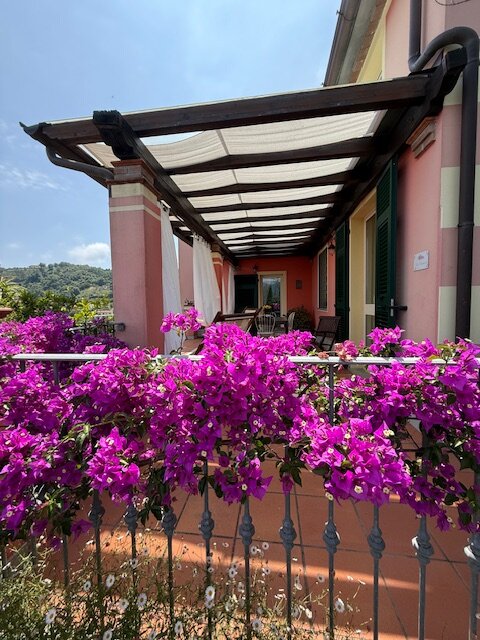 Podere Morucciola-官方