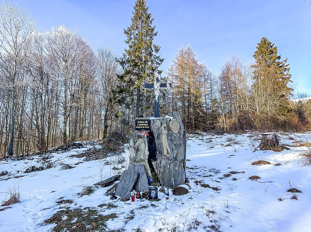 Pomnik Ofiarom Gór I Ratownikom Niosącym Im Pomoc-Wetlina必去景点