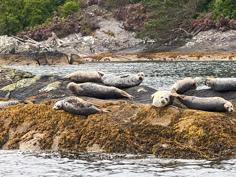 Bantry Bay Charters-Glengarriff必去景点